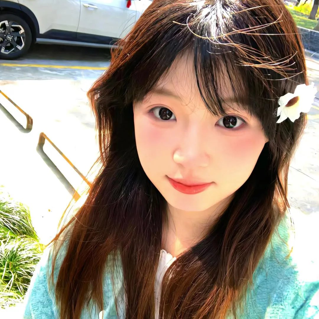 哈兰·科本的庇护所